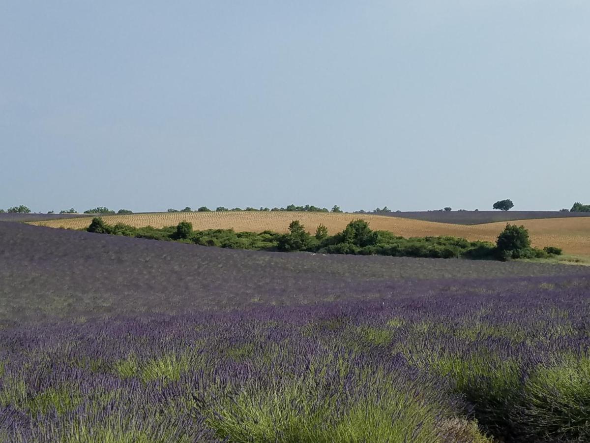 Gite Les Fourches Baudinard Dış mekan fotoğraf